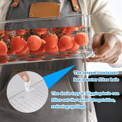 10-Piece Crystal Clear Fridge & Pantry Organizer Set